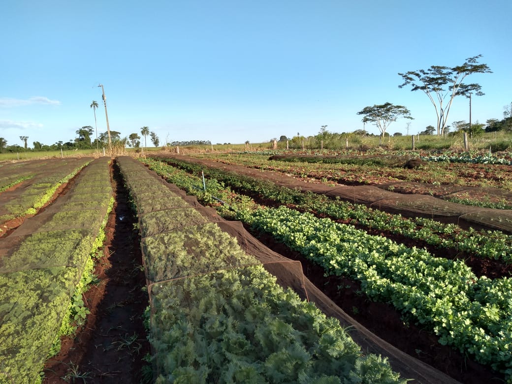 Agraer fortalece acesso ao crédito rural para quem trabalha no campo