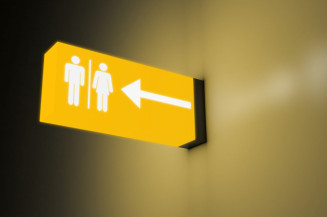 Lei que restringe uso de banheiro por mulheres trans é sancionada e...