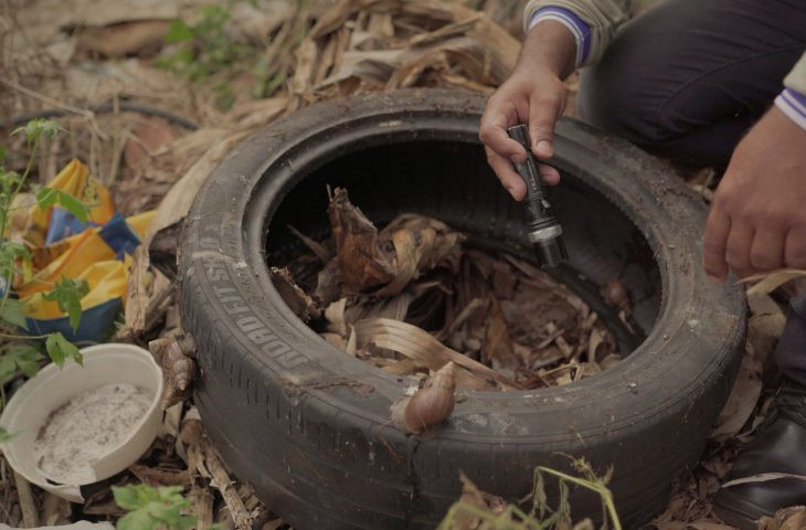 Chikungunya soma 5.195 casos prováveis e 57% de positividade em...