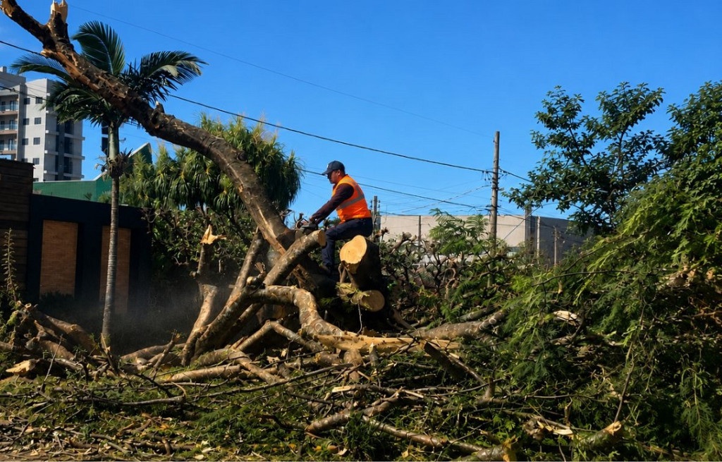 Após fortes chuvas de sexta e sábado, prefeitura realiza remoção...