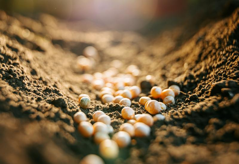 Tensão global encarece fertilizantes e preocupa produtores antes da...