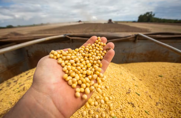 Impasse bilionário trava acordo entre governo e bancada do agro...