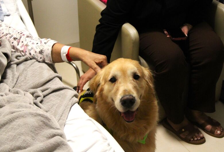 Cães levam carinho e momentos de emoção a pacientes durante visita...